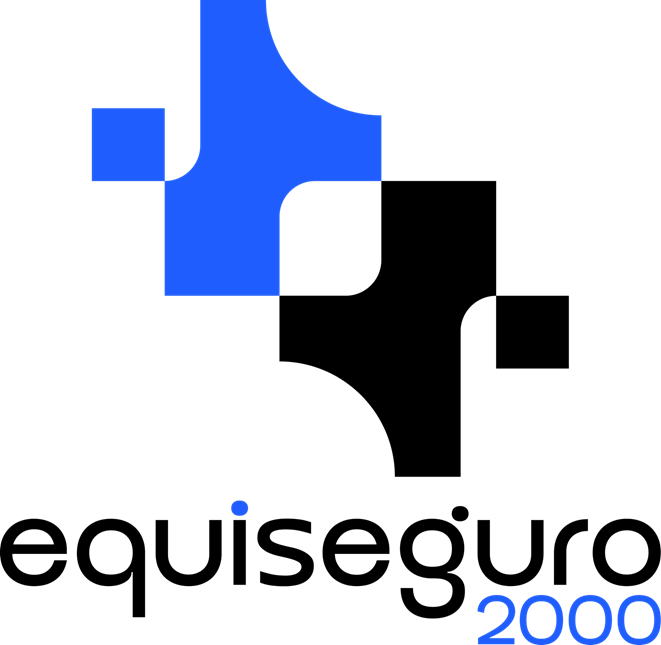 equiseguro2000.com